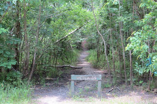 Dow Centennial Bottomlands Park